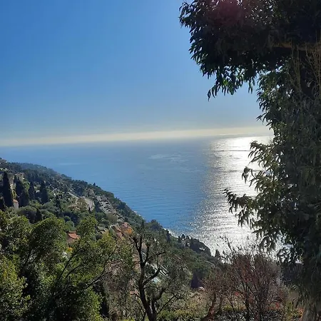 Soutariba